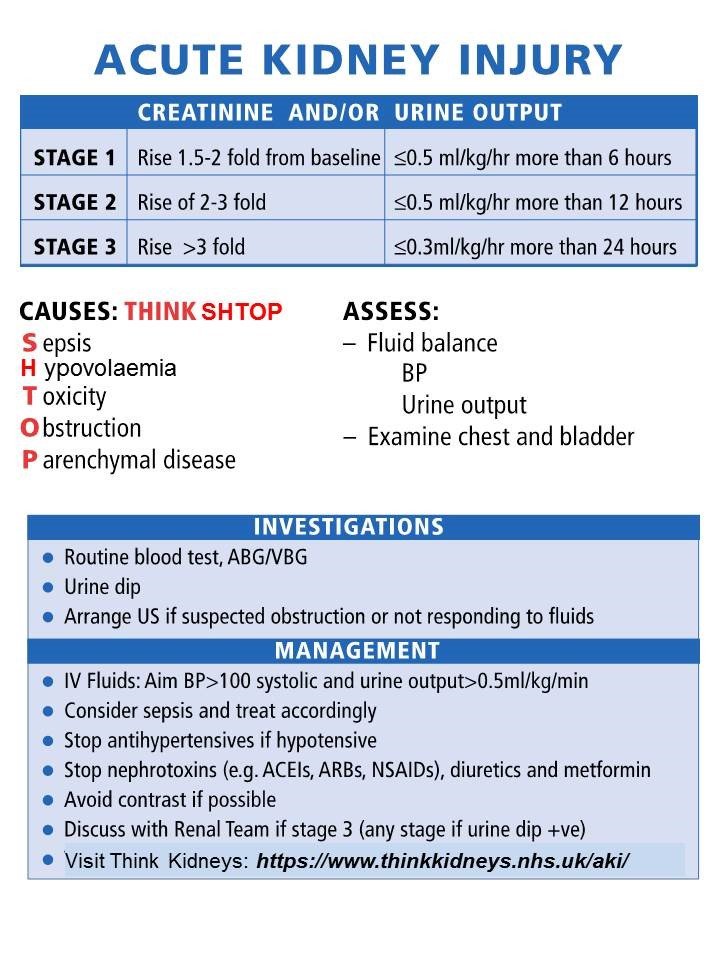 Aki Hayakawa In Dragon Ball Super Explained For Fans